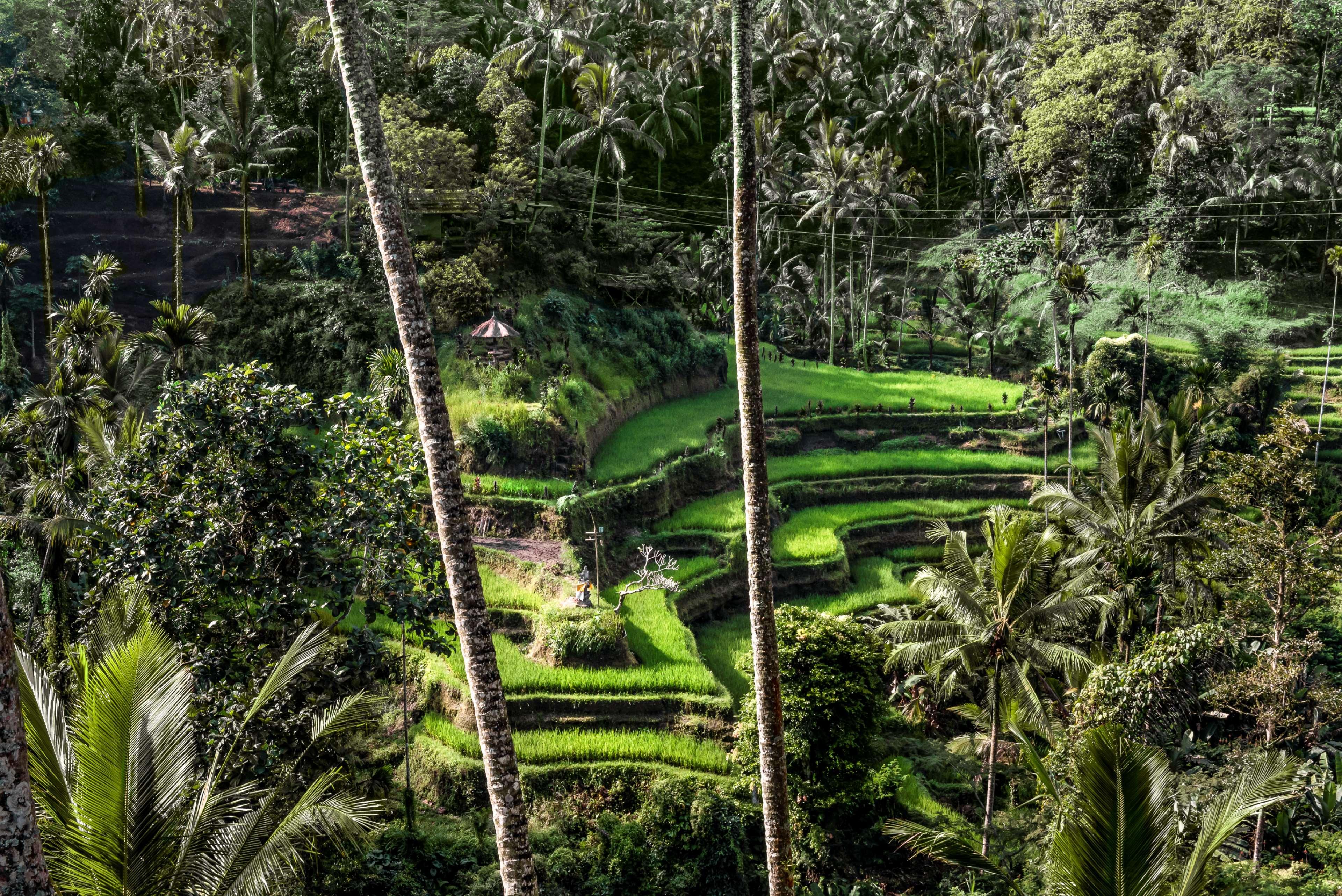 Hotel Amandari Ubud Exteriér fotografie